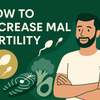How to Increase Male Fertility